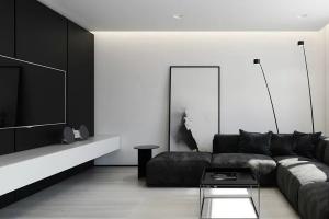 Черно-белая гостиная (50 фото): современные интерьеры с яркими акцентами